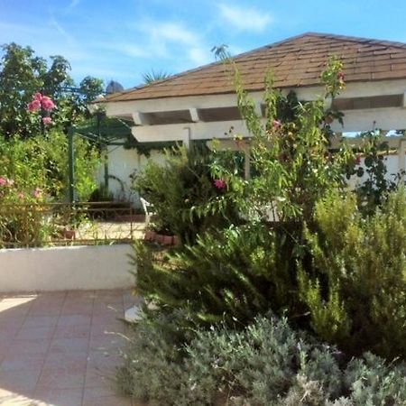 Appartement 3 Chambres Proche Mer Entre Palavas Les Flots Et Frontignan Plage Dans Maison Avec Jardin Villeneuve-les-Maguelonne Εξωτερικό φωτογραφία